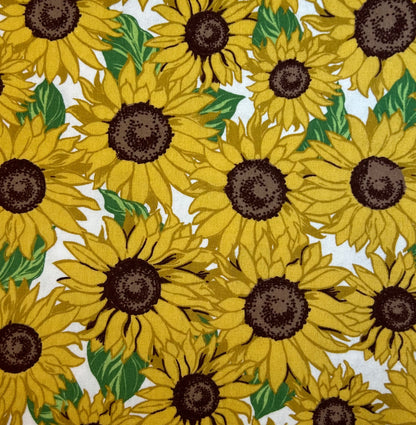 Washable Sponge: Original Style