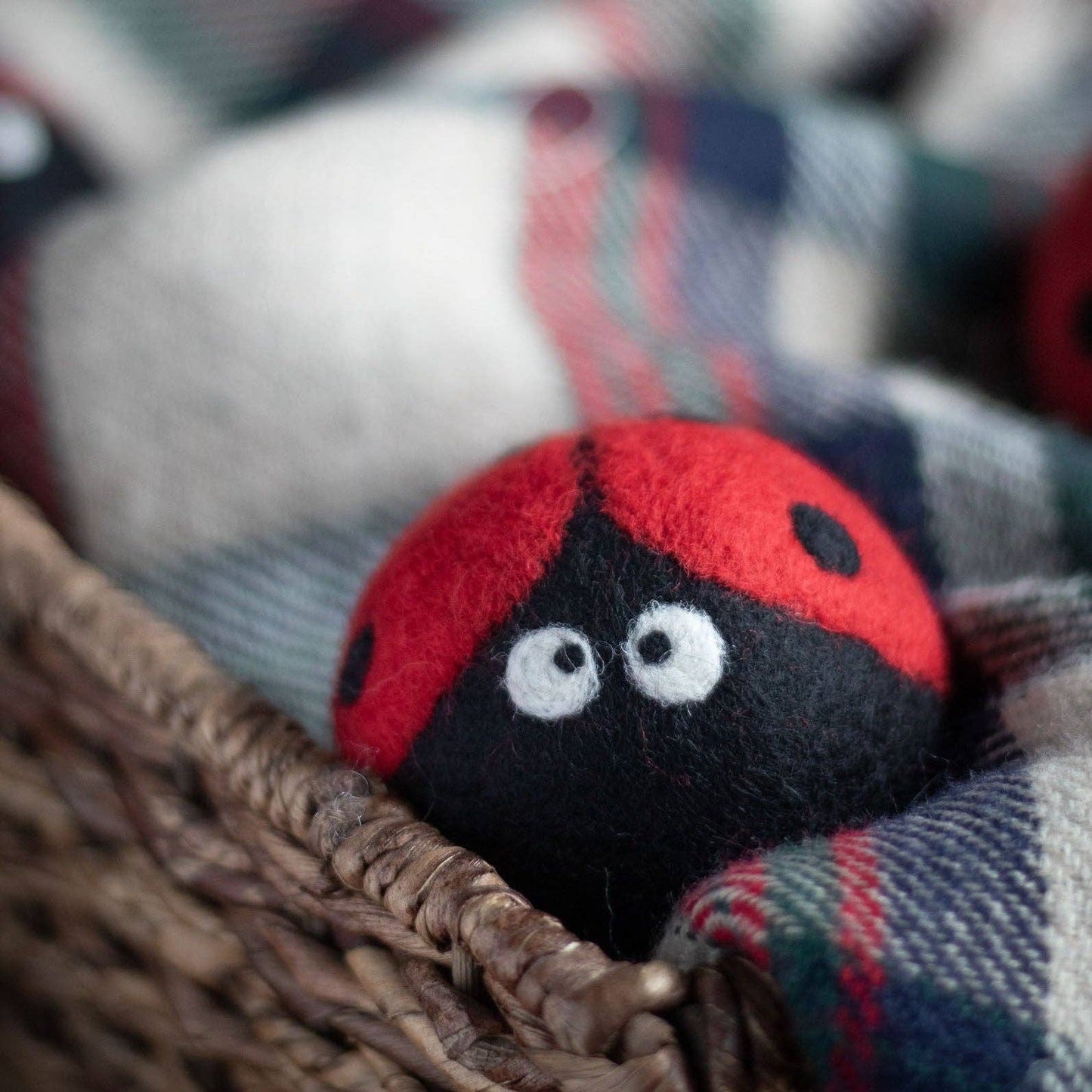 Ladybug Eco Wool Dryer Balls