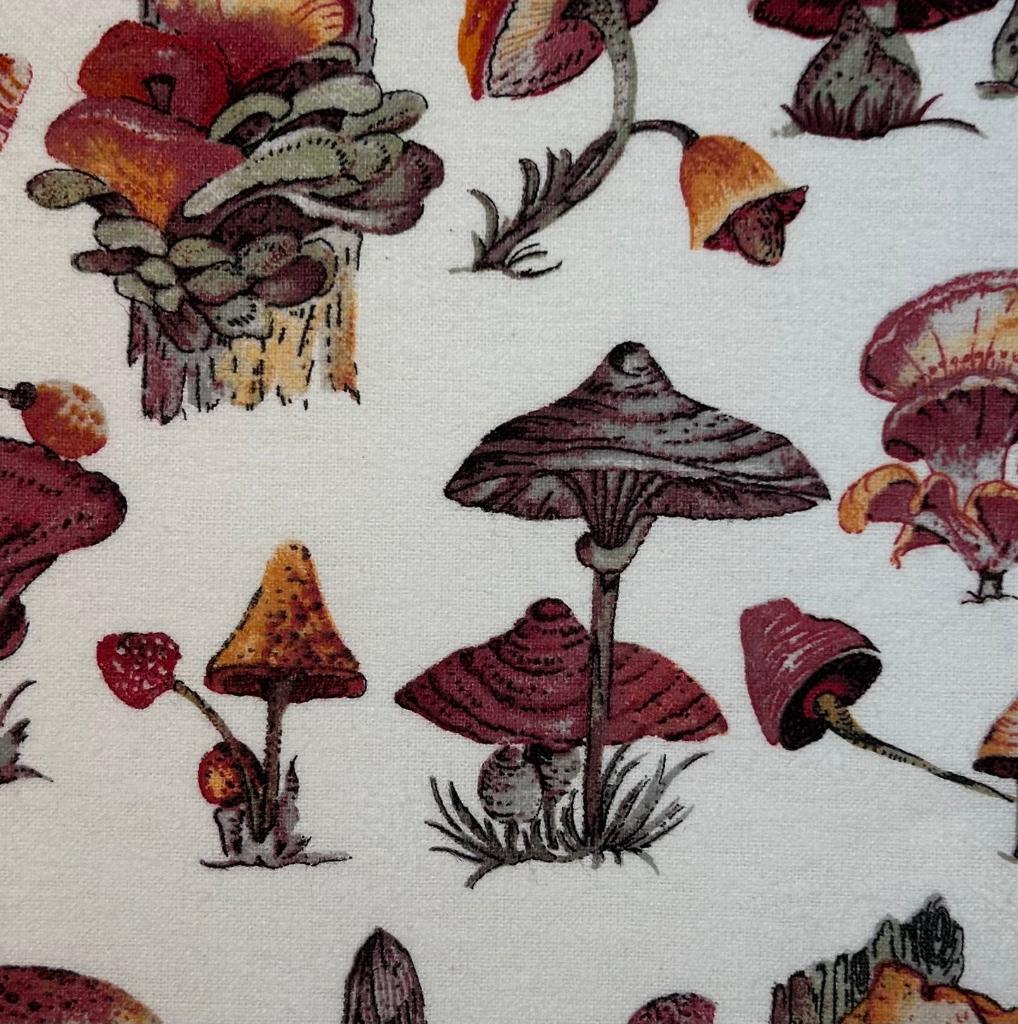 Washable Sponge: Original Style